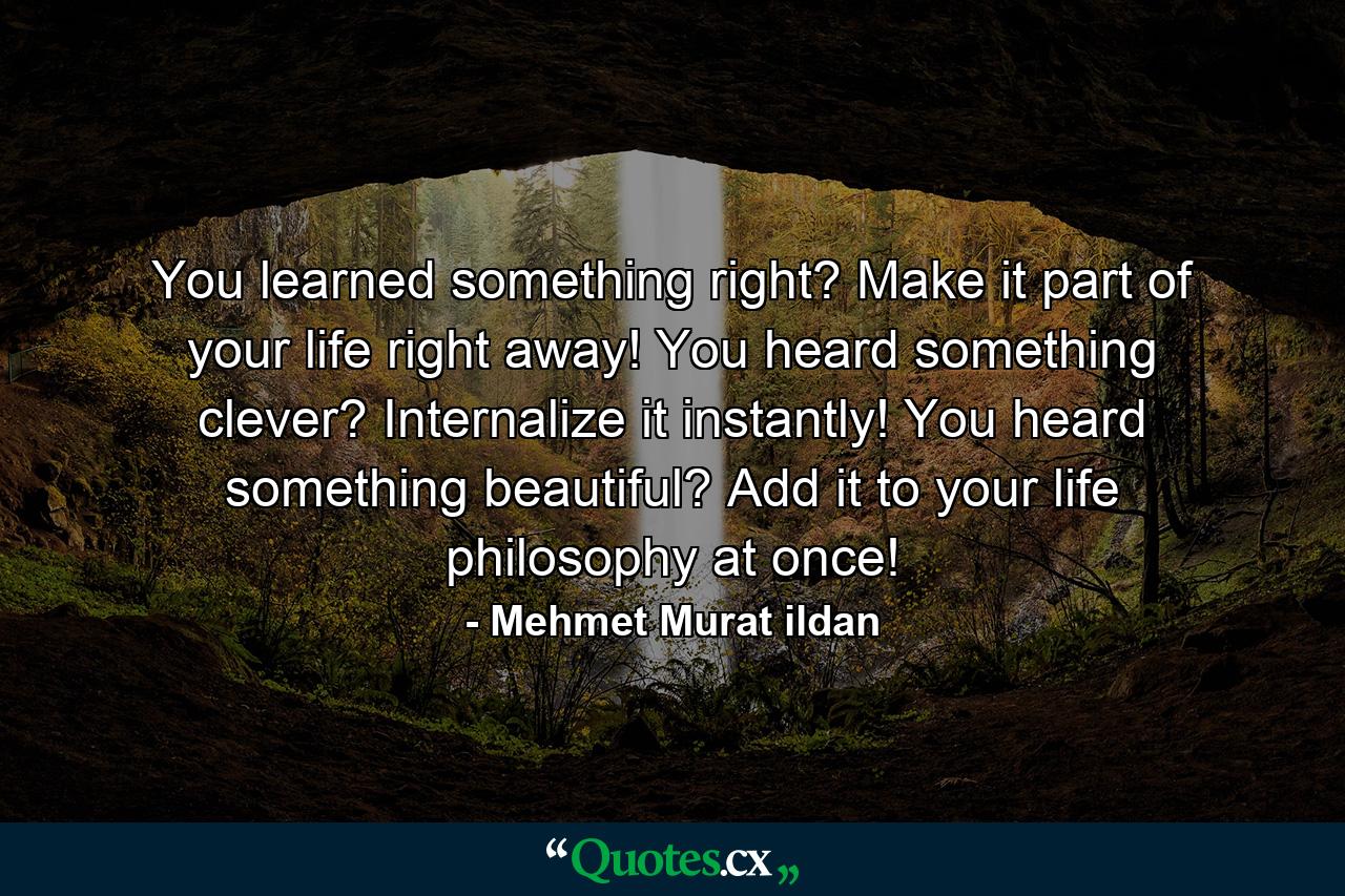 You learned something right? Make it part of your life right away! You heard something clever? Internalize it instantly! You heard something beautiful? Add it to your life philosophy at once! - Quote by Mehmet Murat ildan