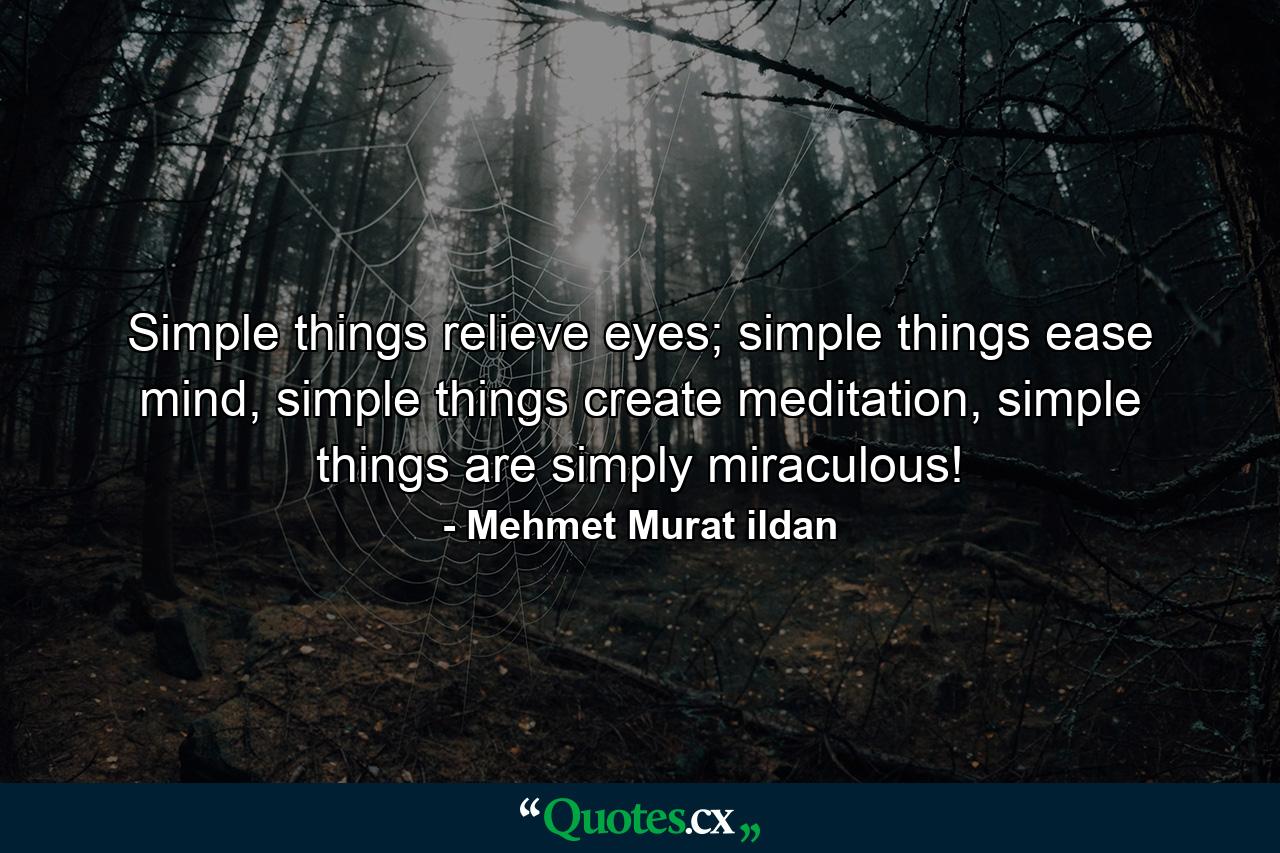 Simple things relieve eyes; simple things ease mind, simple things create meditation, simple things are simply miraculous! - Quote by Mehmet Murat ildan