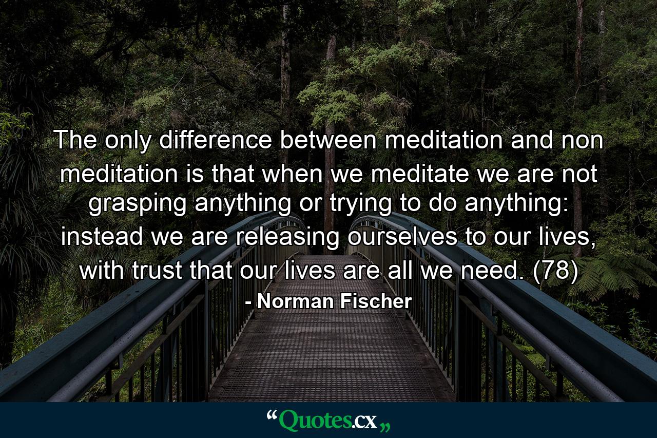 The only difference between meditation and non meditation is that when we meditate we are not grasping anything or trying to do anything: instead we are releasing ourselves to our lives, with trust that our lives are all we need. (78) - Quote by Norman Fischer