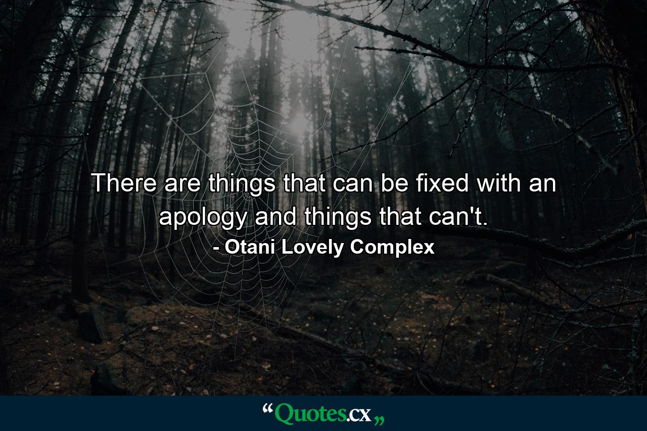 There are things that can be fixed with an apology and things that can't. - Quote by Otani Lovely Complex