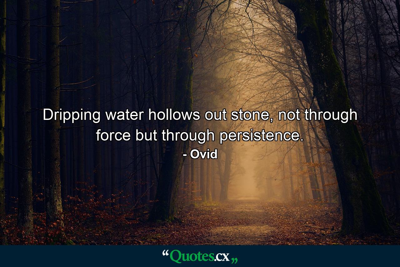 Dripping water hollows out stone, not through force but through persistence. - Quote by Ovid