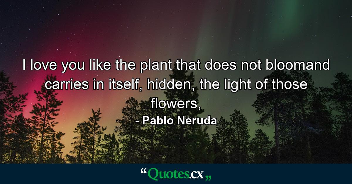 I love you like the plant that does not bloomand carries in itself, hidden, the light of those flowers, - Quote by Pablo Neruda