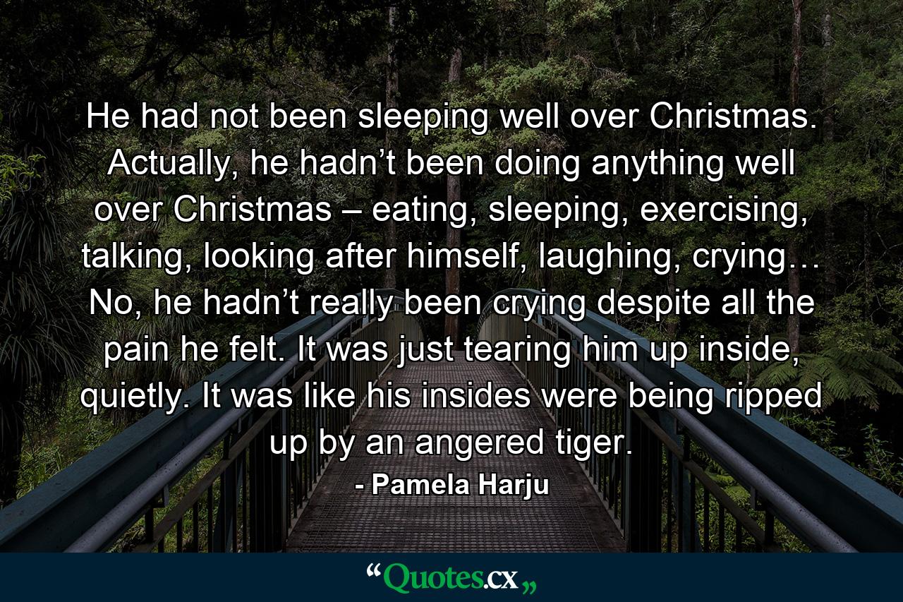 He had not been sleeping well over Christmas. Actually, he hadn’t been doing anything well over Christmas – eating, sleeping, exercising, talking, looking after himself, laughing, crying… No, he hadn’t really been crying despite all the pain he felt. It was just tearing him up inside, quietly. It was like his insides were being ripped up by an angered tiger. - Quote by Pamela Harju