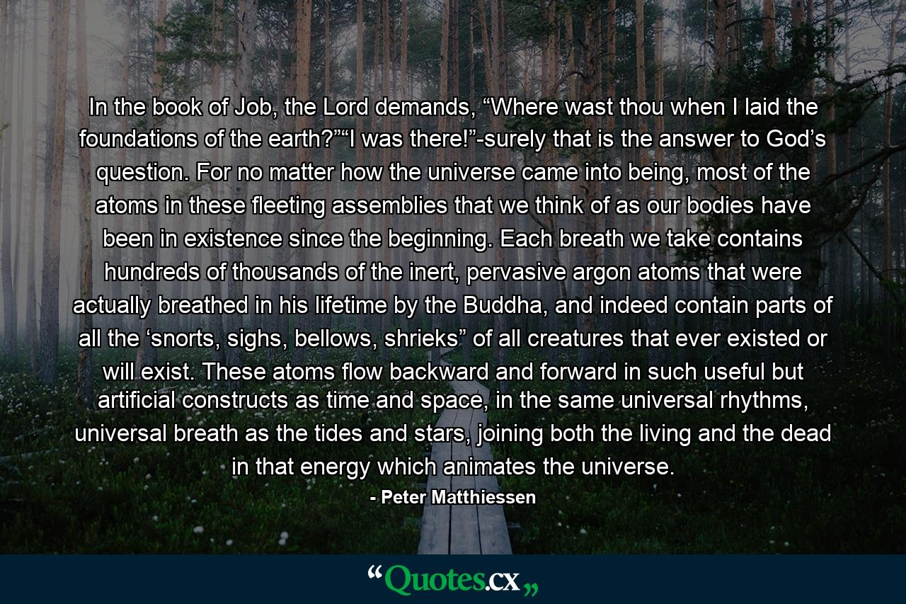 In the book of Job, the Lord demands, “Where wast thou when I laid the foundations of the earth?”“I was there!”-surely that is the answer to God’s question. For no matter how the universe came into being, most of the atoms in these fleeting assemblies that we think of as our bodies have been in existence since the beginning. Each breath we take contains hundreds of thousands of the inert, pervasive argon atoms that were actually breathed in his lifetime by the Buddha, and indeed contain parts of all the ‘snorts, sighs, bellows, shrieks” of all creatures that ever existed or will exist. These atoms flow backward and forward in such useful but artificial constructs as time and space, in the same universal rhythms, universal breath as the tides and stars, joining both the living and the dead in that energy which animates the universe. - Quote by Peter Matthiessen