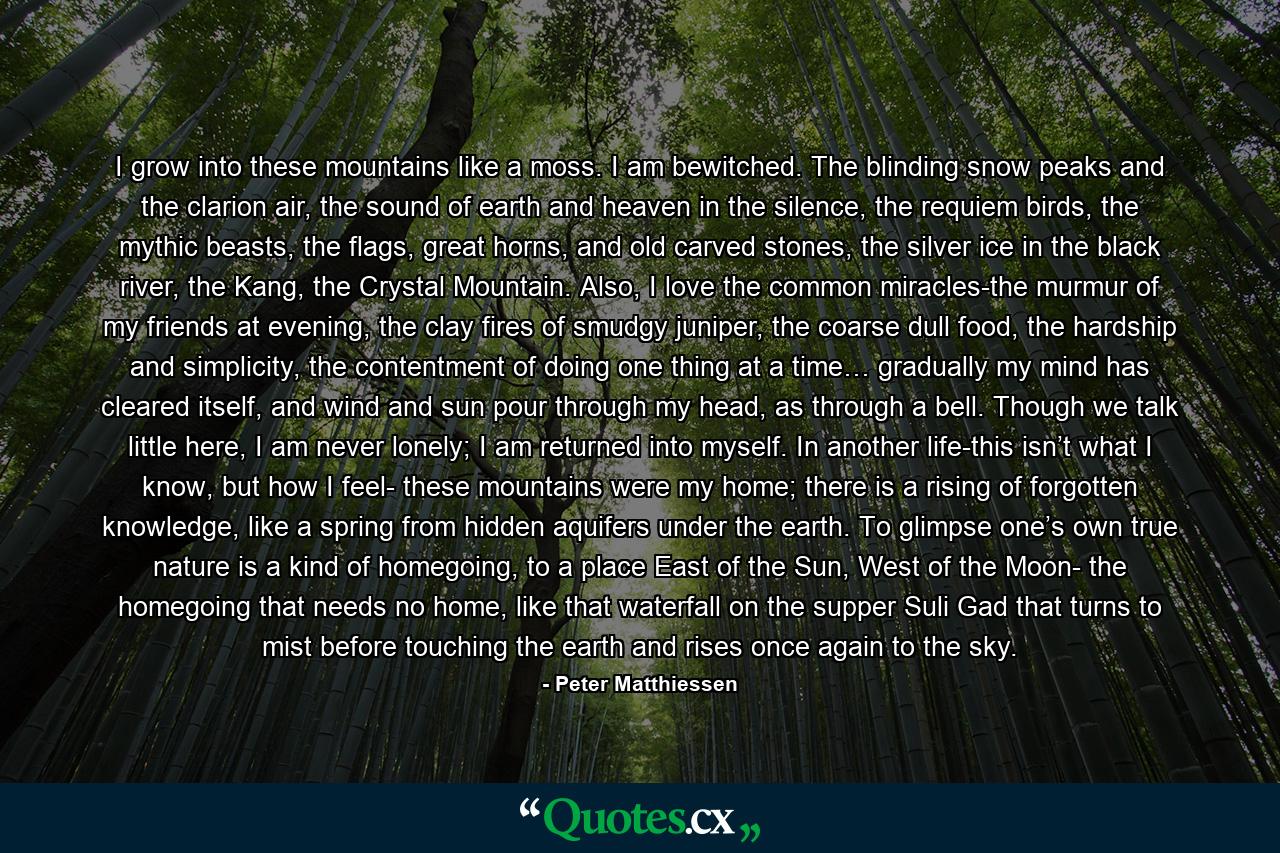 I grow into these mountains like a moss. I am bewitched. The blinding snow peaks and the clarion air, the sound of earth and heaven in the silence, the requiem birds, the mythic beasts, the flags, great horns, and old carved stones, the silver ice in the black river, the Kang, the Crystal Mountain. Also, I love the common miracles-the murmur of my friends at evening, the clay fires of smudgy juniper, the coarse dull food, the hardship and simplicity, the contentment of doing one thing at a time… gradually my mind has cleared itself, and wind and sun pour through my head, as through a bell. Though we talk little here, I am never lonely; I am returned into myself. In another life-this isn’t what I know, but how I feel- these mountains were my home; there is a rising of forgotten knowledge, like a spring from hidden aquifers under the earth. To glimpse one’s own true nature is a kind of homegoing, to a place East of the Sun, West of the Moon- the homegoing that needs no home, like that waterfall on the supper Suli Gad that turns to mist before touching the earth and rises once again to the sky. - Quote by Peter Matthiessen