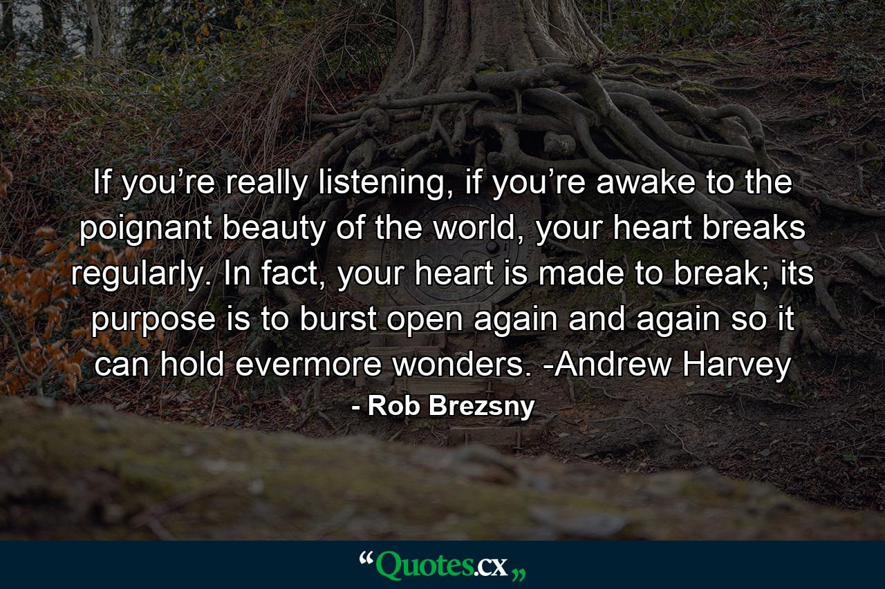 If you’re really listening, if you’re awake to the poignant beauty of the world, your heart breaks regularly. In fact, your heart is made to break; its purpose is to burst open again and again so it can hold evermore wonders. -Andrew Harvey - Quote by Rob Brezsny