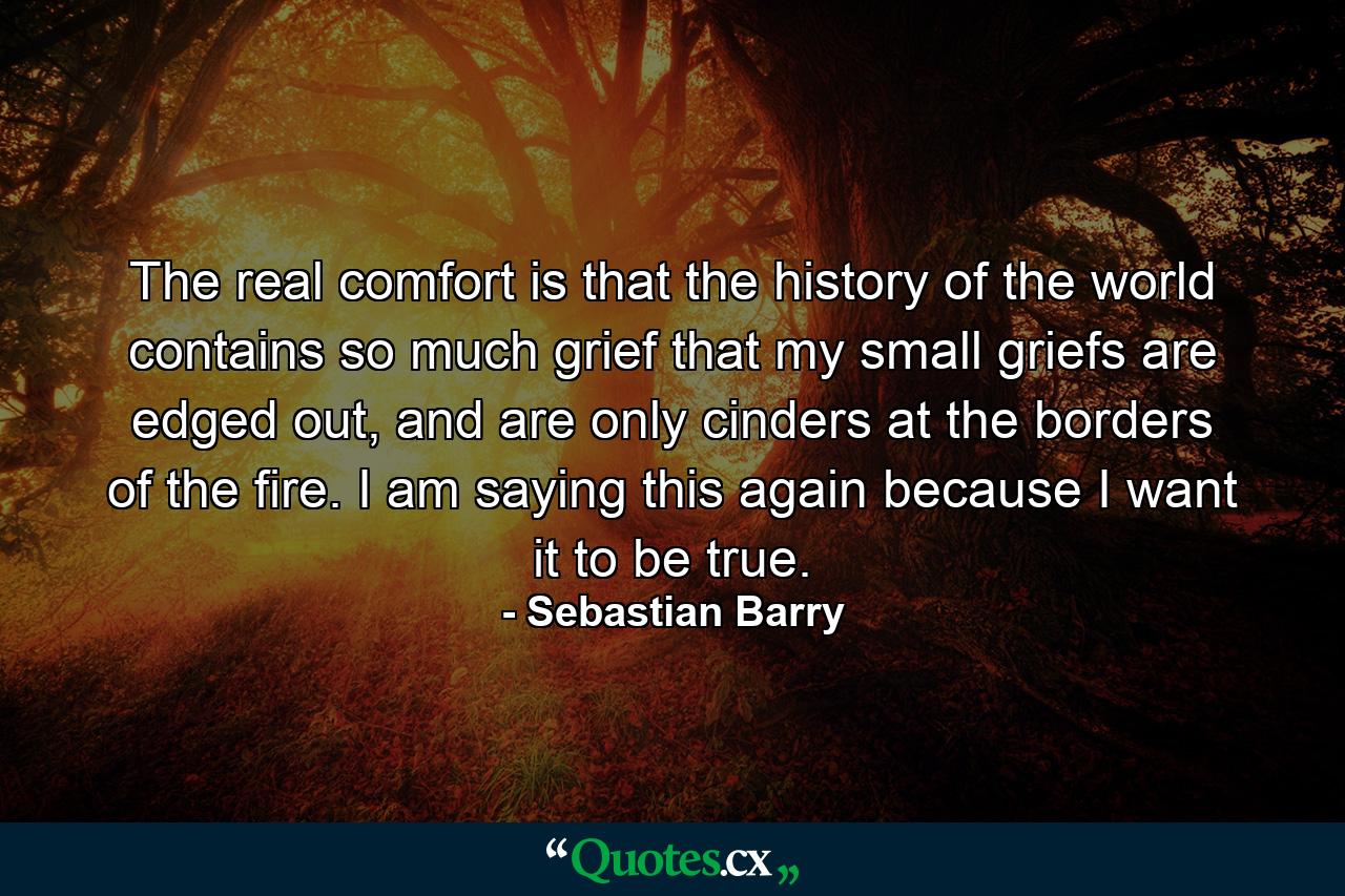 The real comfort is that the history of the world contains so much grief that my small griefs are edged out, and are only cinders at the borders of the fire. I am saying this again because I want it to be true. - Quote by Sebastian Barry