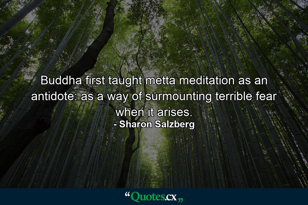 Buddha ﬁrst taught metta meditation as an antidote: as a way of surmounting terrible fear when it arises. - Quote by Sharon Salzberg