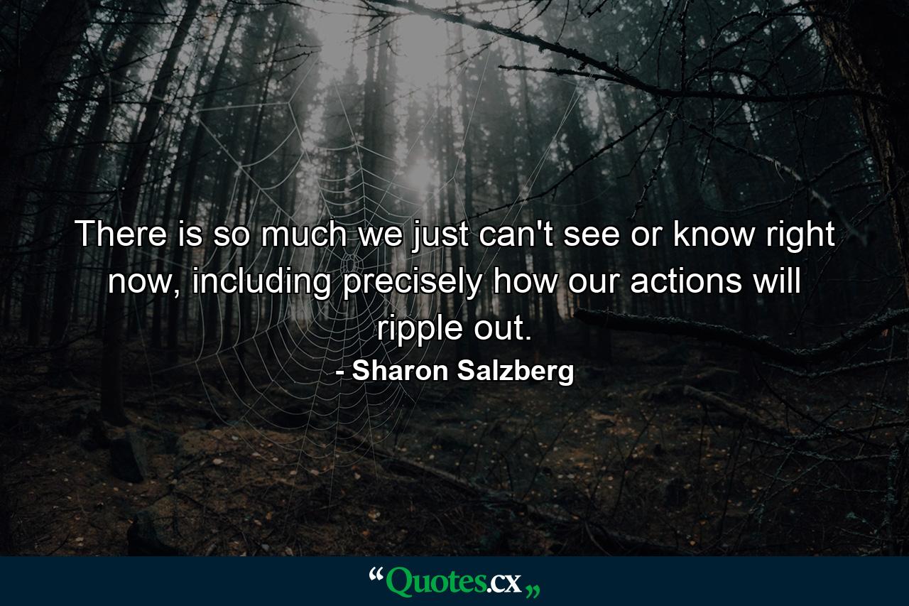 There is so much we just can't see or know right now, including precisely how our actions will ripple out. - Quote by Sharon Salzberg