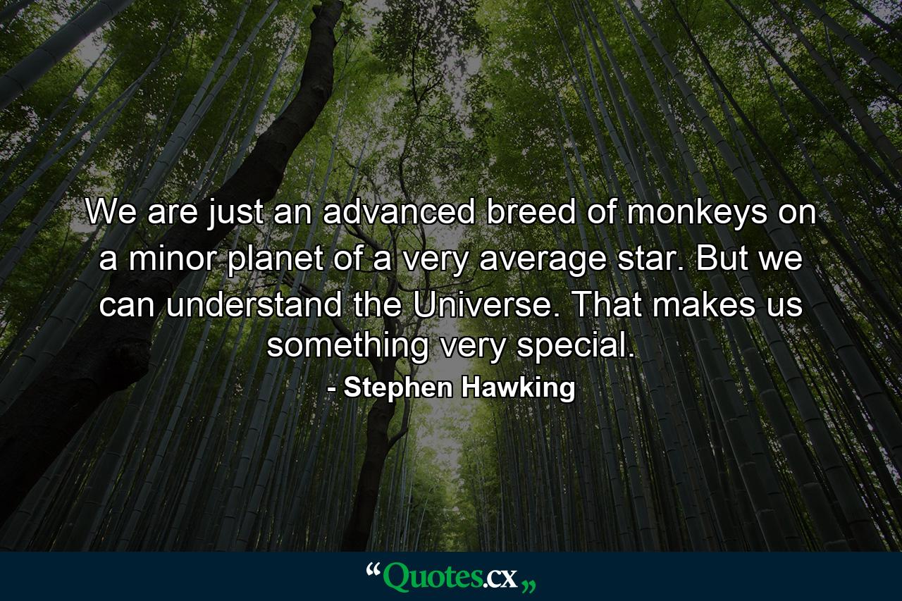 We are just an advanced breed of monkeys on a minor planet of a very average star. But we can understand the Universe. That makes us something very special. - Quote by Stephen Hawking