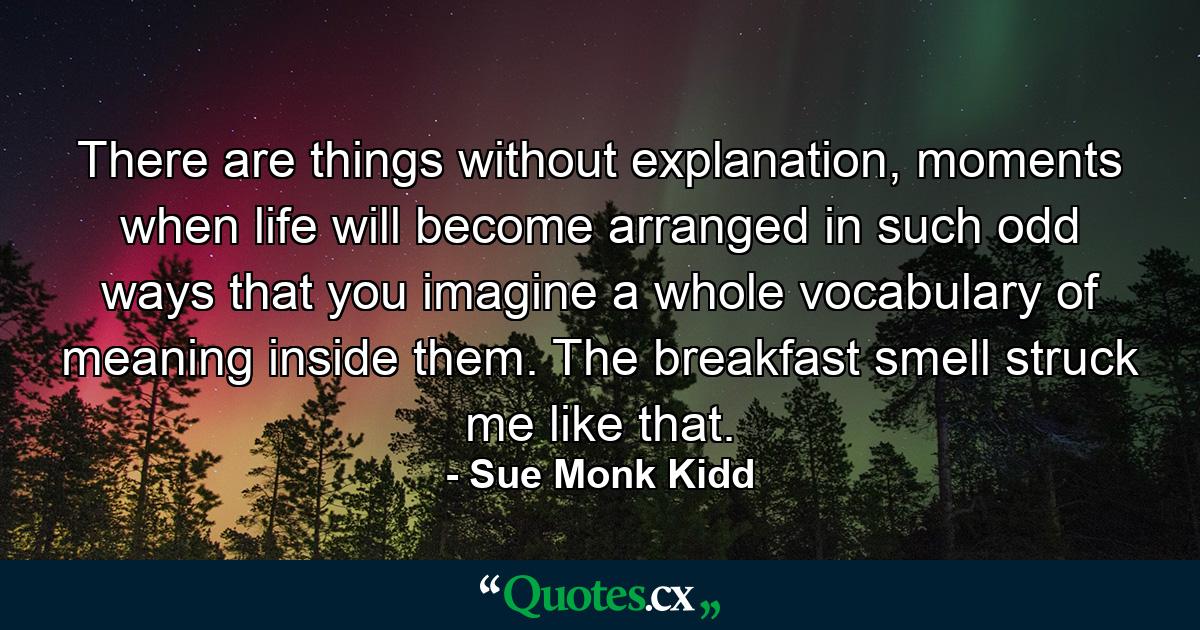 There are things without explanation, moments when life will become arranged in such odd ways that you imagine a whole vocabulary of meaning inside them. The breakfast smell struck me like that. - Quote by Sue Monk Kidd