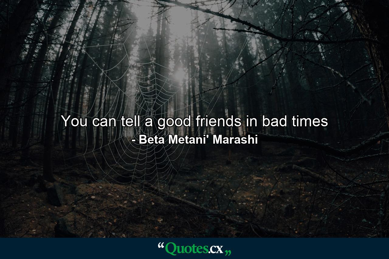 You can tell a good friends in bad times - Quote by Beta Metani' Marashi