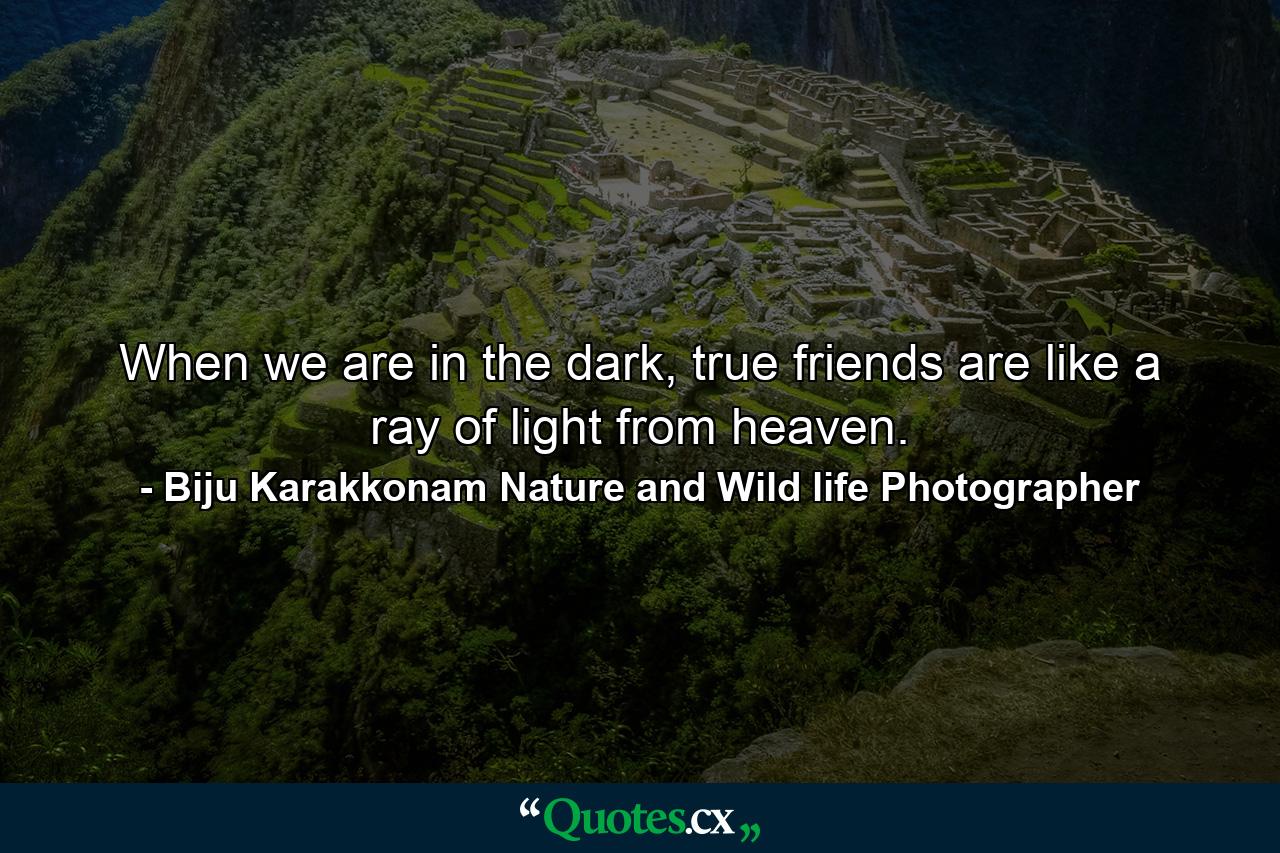 When we are in the dark, true friends are like a ray of light from heaven. - Quote by Biju Karakkonam Nature and Wild life Photographer