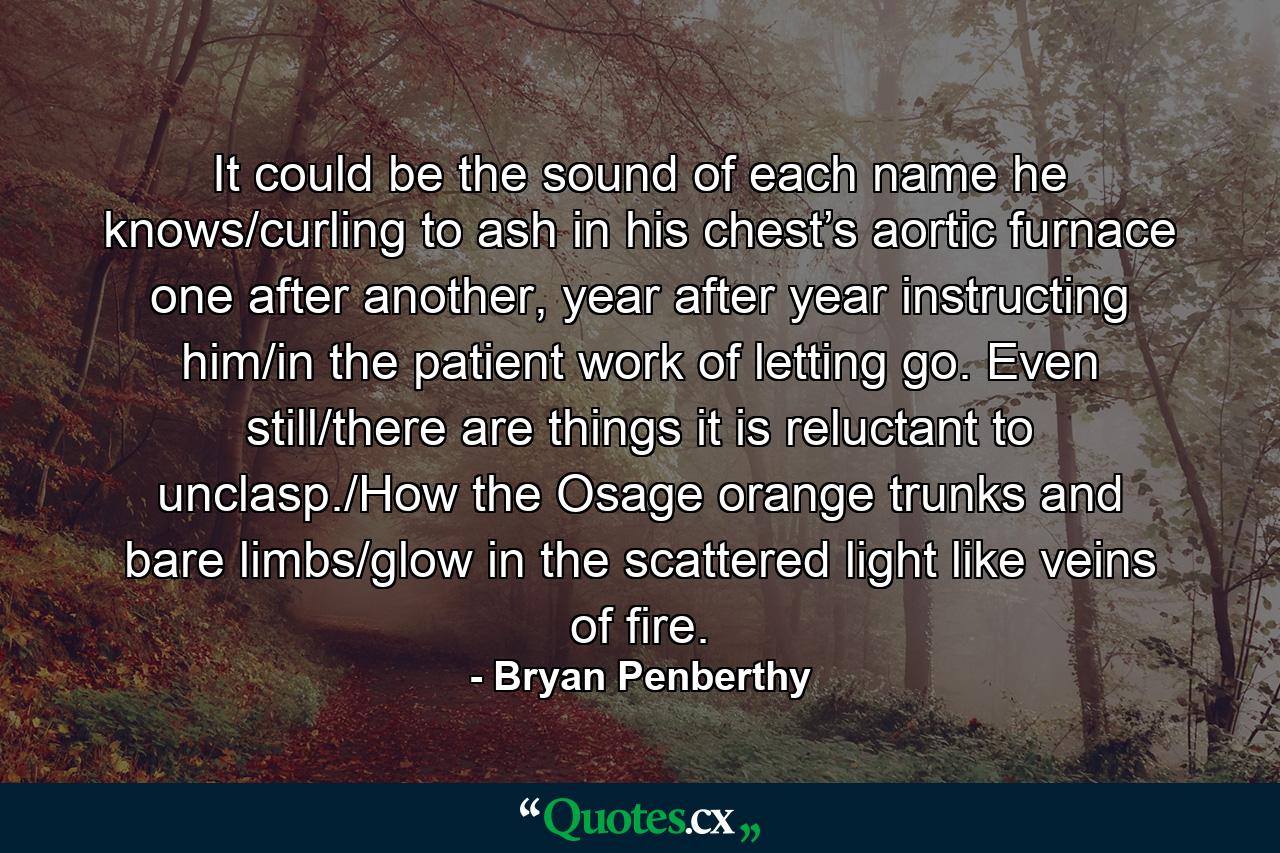 It could be the sound of each name he knows/curling to ash in his chest’s aortic furnace one after another, year after year instructing him/in the patient work of letting go. Even still/there are things it is reluctant to unclasp./How the Osage orange trunks and bare limbs/glow in the scattered light like veins of fire. - Quote by Bryan Penberthy