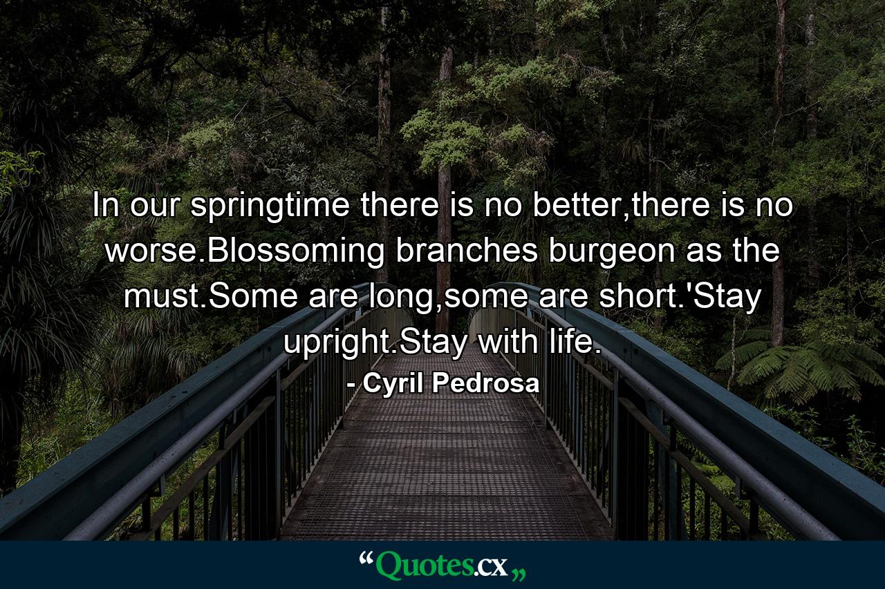 In our springtime there is no better,there is no worse.Blossoming branches burgeon as the must.Some are long,some are short.'Stay upright.Stay with life. - Quote by Cyril Pedrosa