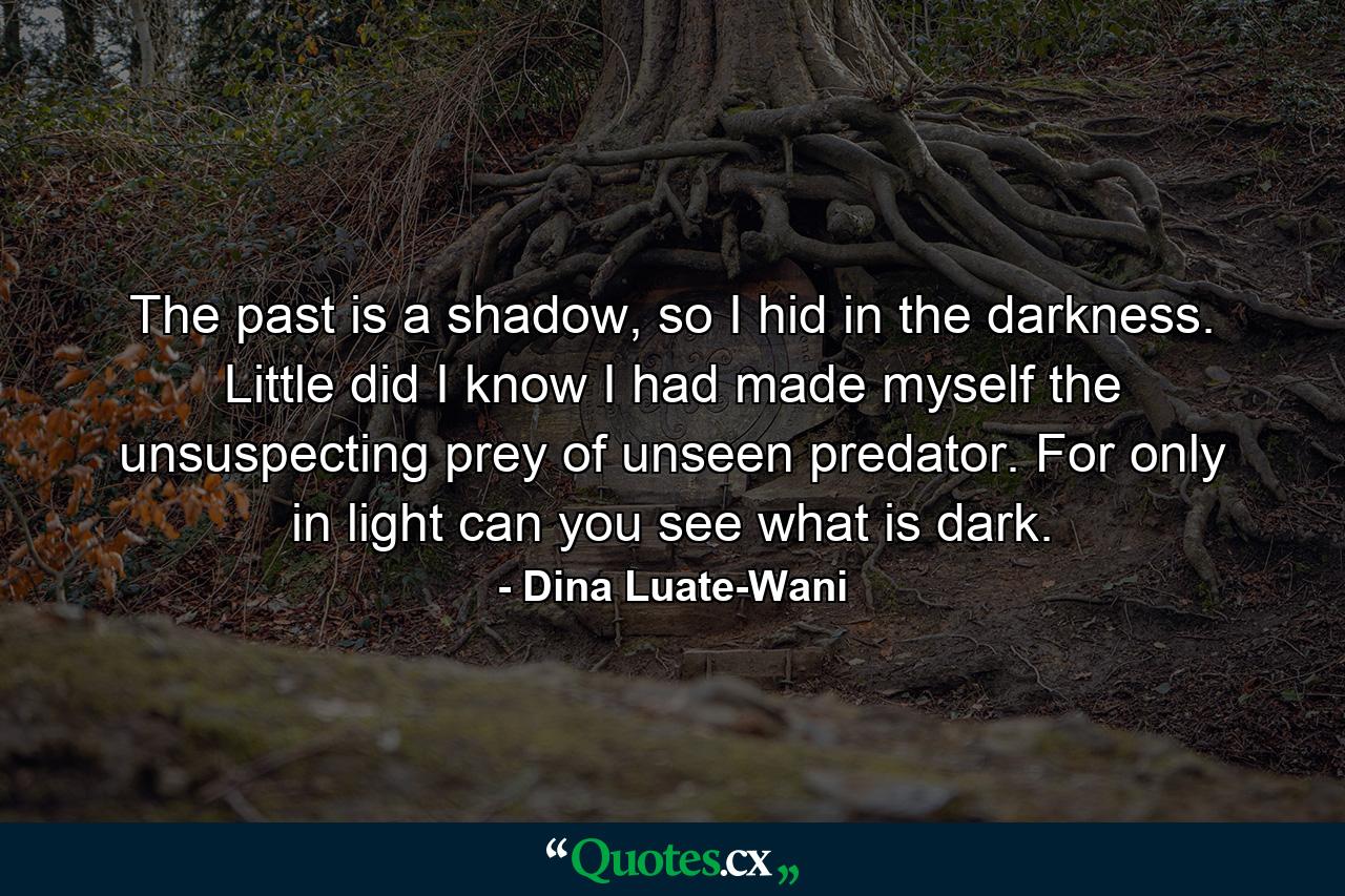 The past is a shadow, so I hid in the darkness. Little did I know I had made myself the unsuspecting prey of unseen predator. For only in light can you see what is dark. - Quote by Dina Luate-Wani