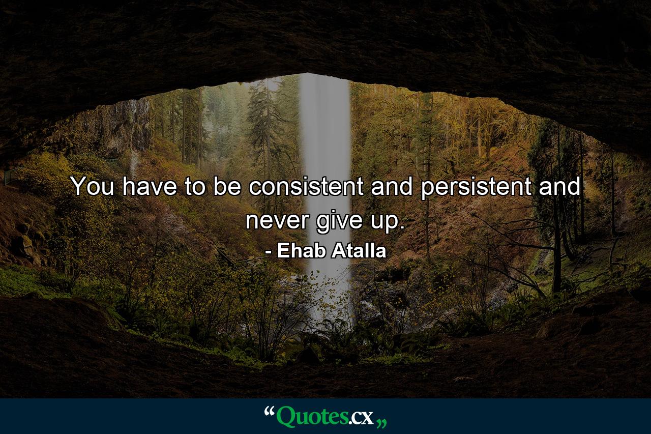 You have to be consistent and persistent and never give up. - Quote by Ehab Atalla