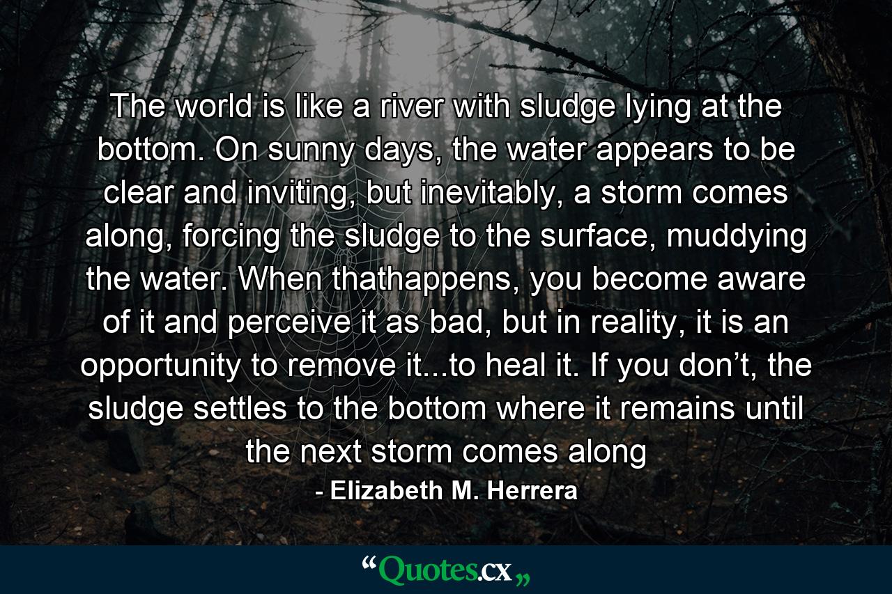 The world is like a river with sludge lying at the bottom. On sunny days, the water appears to be clear and inviting, but inevitably, a storm comes along, forcing the sludge to the surface, muddying the water. When thathappens, you become aware of it and perceive it as bad, but in reality, it is an opportunity to remove it...to heal it. If you don’t, the sludge settles to the bottom where it remains until the next storm comes along - Quote by Elizabeth M. Herrera