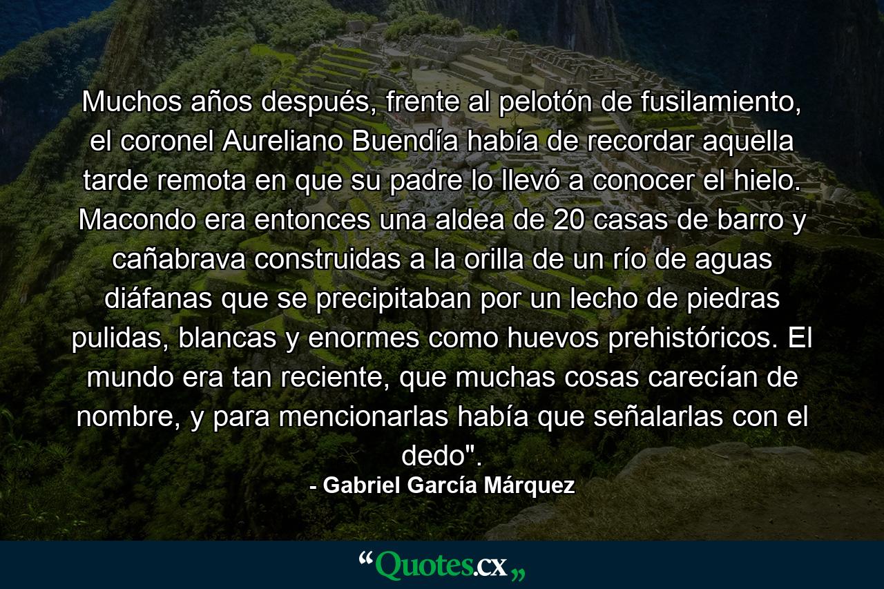 Muchos años después, frente al pelotón de fusilamiento, el coronel Aureliano Buendía había de recordar aquella tarde remota en que su padre lo llevó a conocer el hielo. Macondo era entonces una aldea de 20 casas de barro y cañabrava construidas a la orilla de un río de aguas diáfanas que se precipitaban por un lecho de piedras pulidas, blancas y enormes como huevos prehistóricos. El mundo era tan reciente, que muchas cosas carecían de nombre, y para mencionarlas había que señalarlas con el dedo