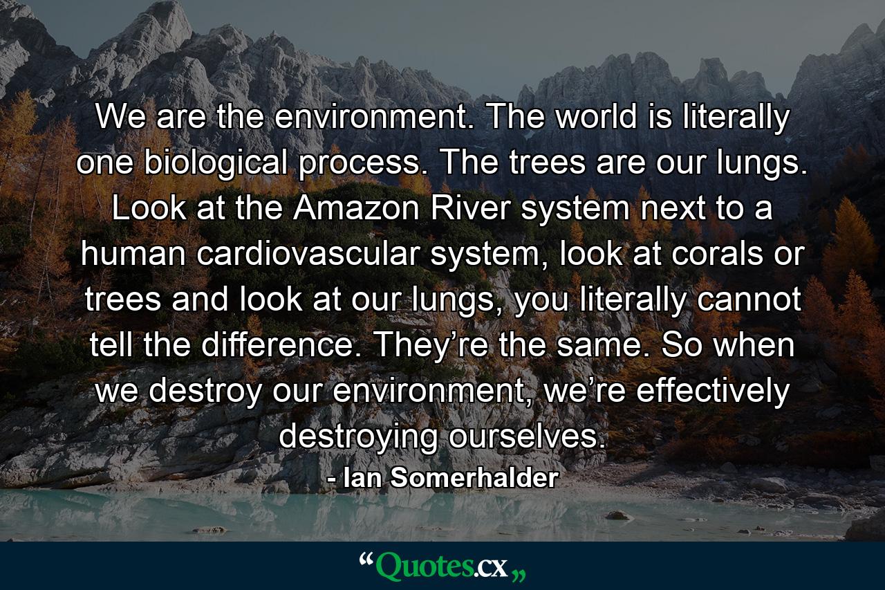 We are the environment. The world is literally one biological process. The trees are our lungs. Look at the Amazon River system next to a human cardiovascular system, look at corals or trees and look at our lungs, you literally cannot tell the difference. They’re the same. So when we destroy our environment, we’re effectively destroying ourselves. - Quote by Ian Somerhalder