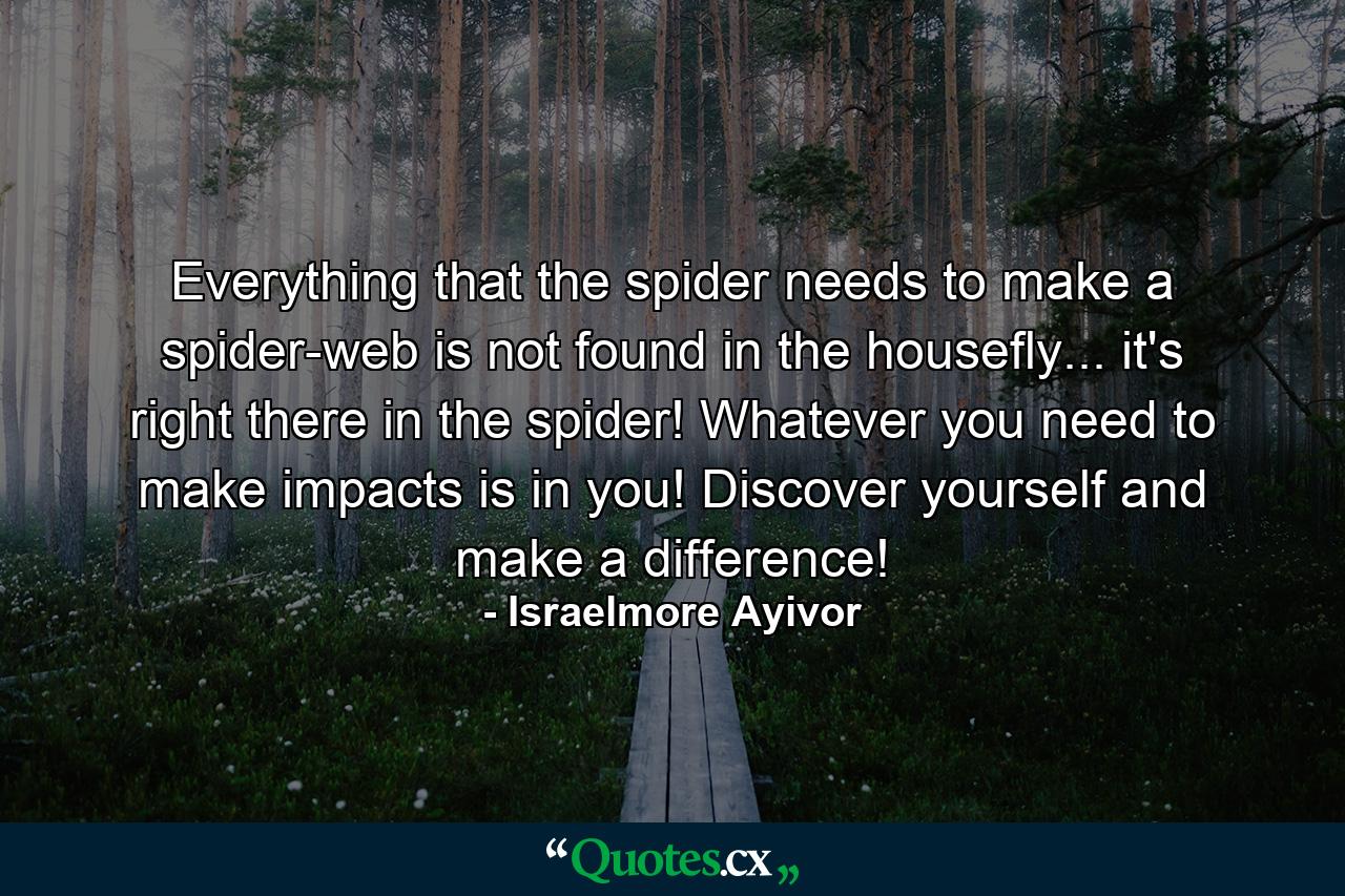 Everything that the spider needs to make a spider-web is not found in the housefly... it's right there in the spider! Whatever you need to make impacts is in you! Discover yourself and make a difference! - Quote by Israelmore Ayivor