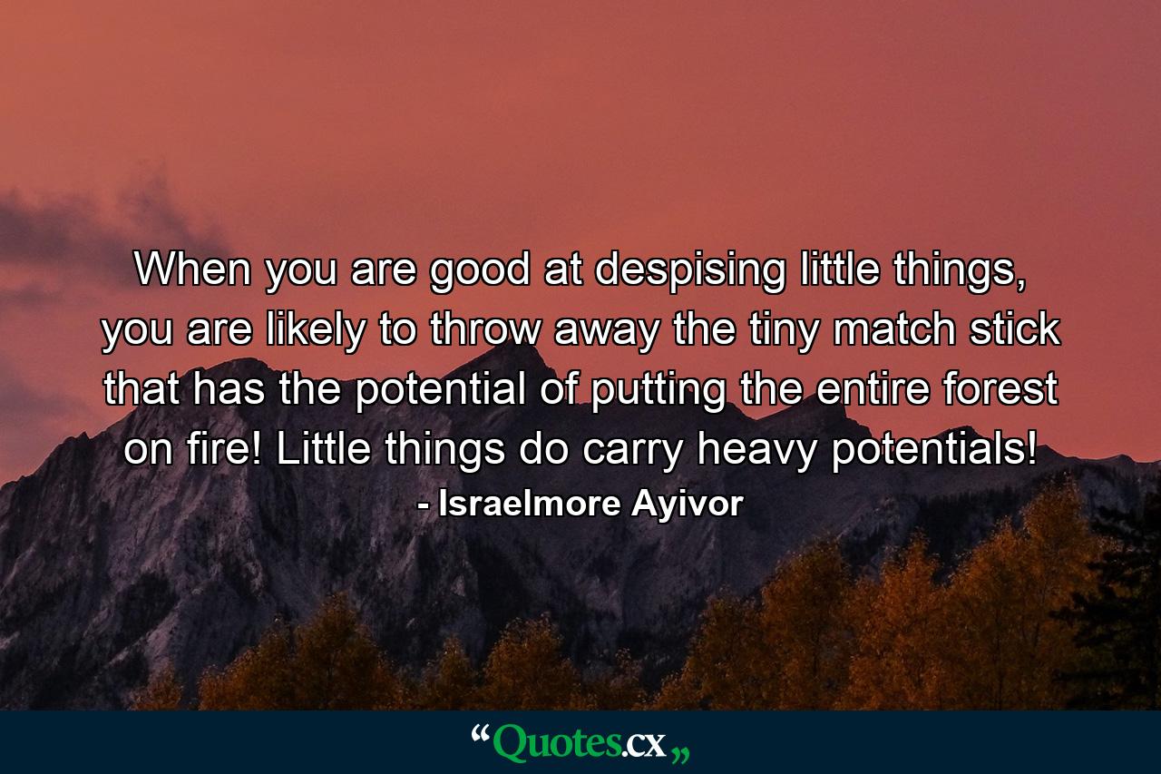 When you are good at despising little things, you are likely to throw away the tiny match stick that has the potential of putting the entire forest on fire! Little things do carry heavy potentials! - Quote by Israelmore Ayivor