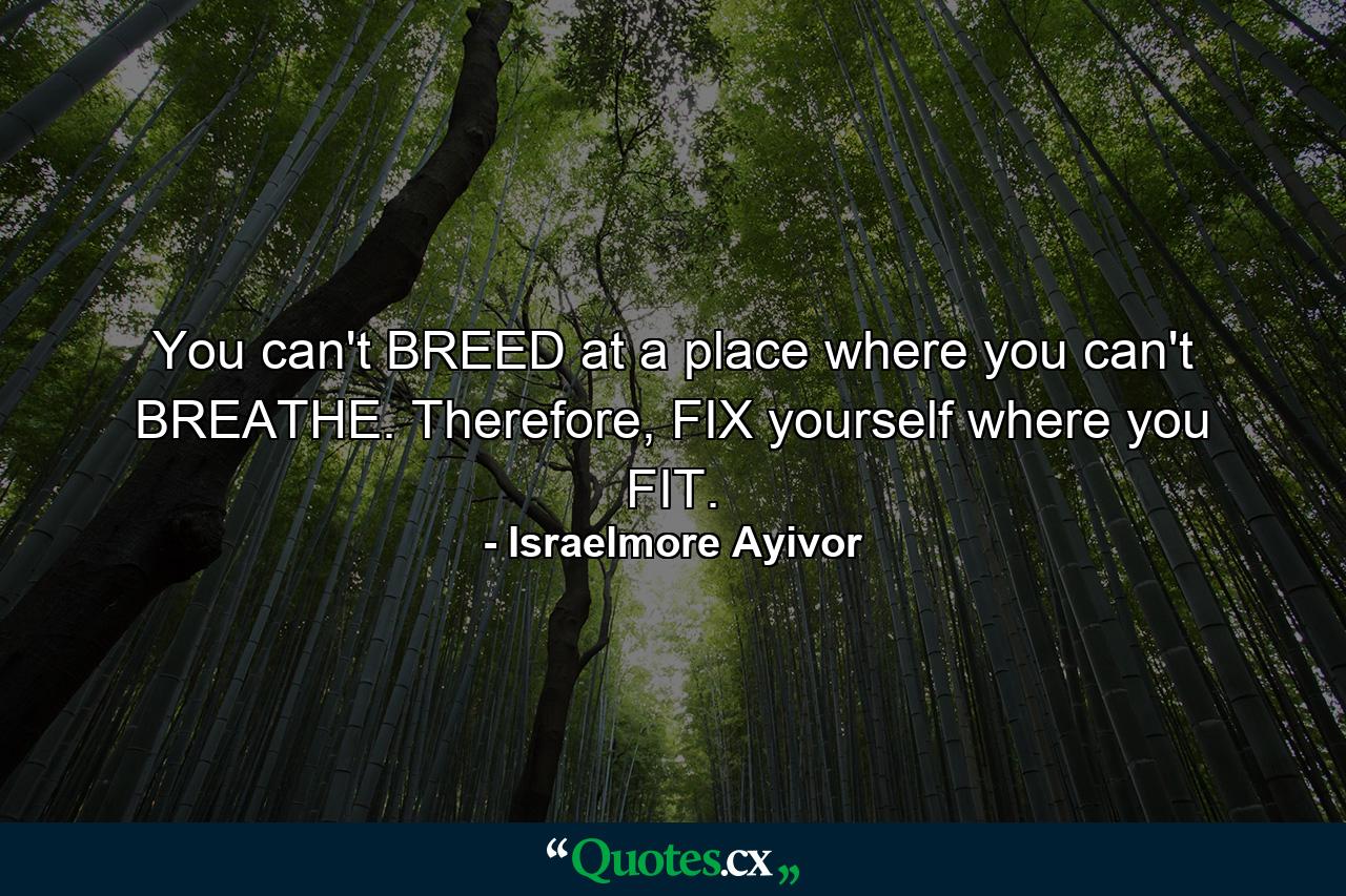 You can't BREED at a place where you can't BREATHE. Therefore, FIX yourself where you FIT. - Quote by Israelmore Ayivor