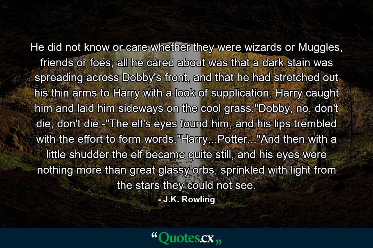 He did not know or care whether they were wizards or Muggles, friends or foes; all he cared about was that a dark stain was spreading across Dobby's front, and that he had stretched out his thin arms to Harry with a look of supplication. Harry caught him and laid him sideways on the cool grass.