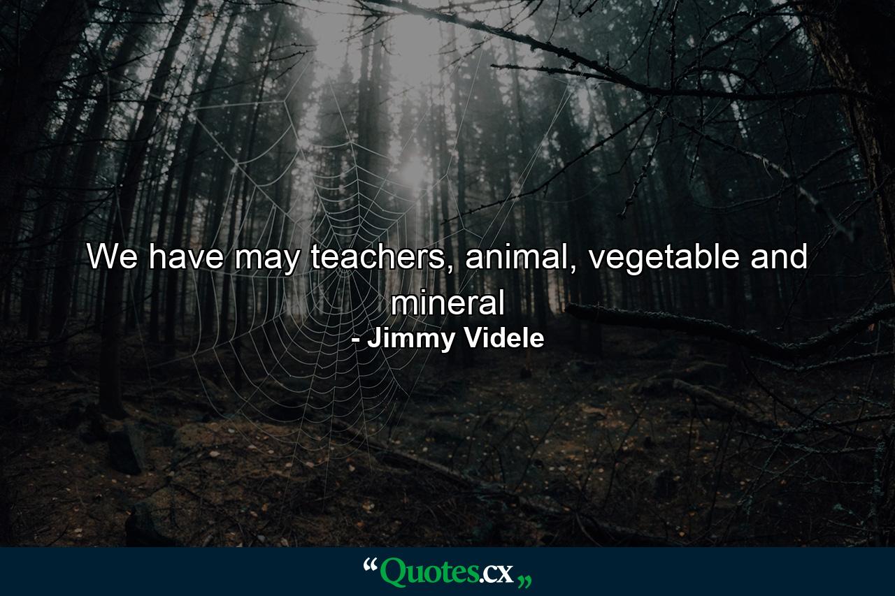 We have may teachers, animal, vegetable and mineral - Quote by Jimmy Videle