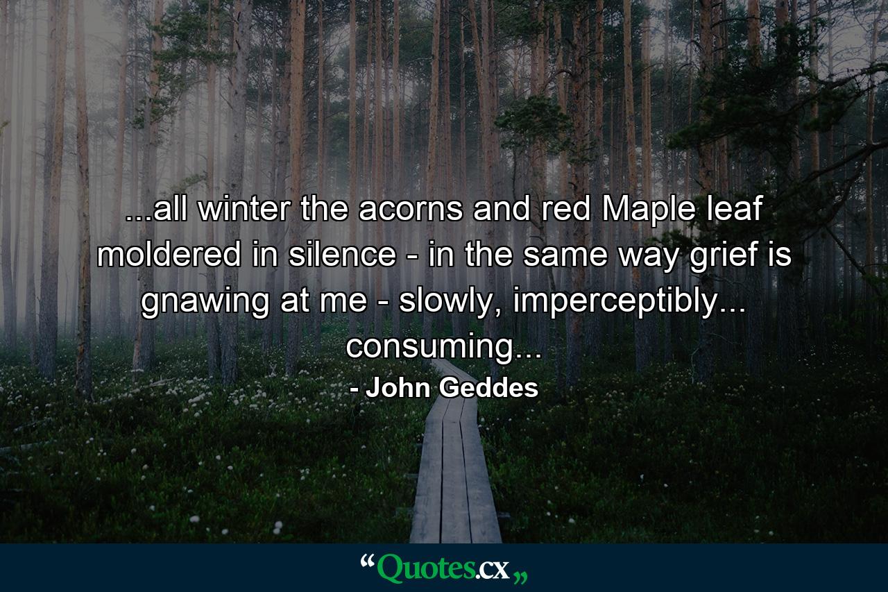 ...all winter the acorns and red Maple leaf moldered in silence - in the same way grief is gnawing at me - slowly, imperceptibly... consuming... - Quote by John Geddes