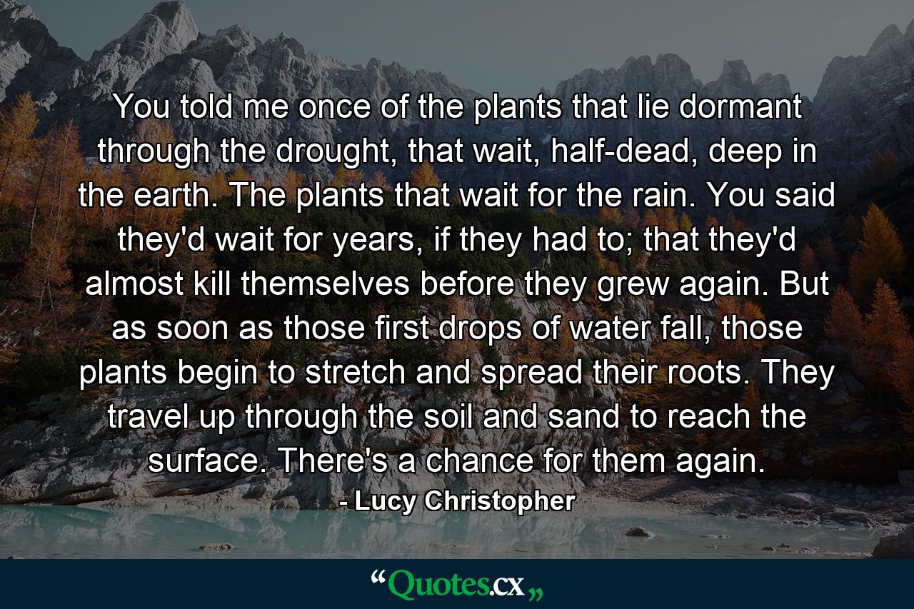 You told me once of the plants that lie dormant through the drought, that wait, half-dead, deep in the earth. The plants that wait for the rain. You said they'd wait for years, if they had to; that they'd almost kill themselves before they grew again. But as soon as those first drops of water fall, those plants begin to stretch and spread their roots. They travel up through the soil and sand to reach the surface. There's a chance for them again. - Quote by Lucy Christopher