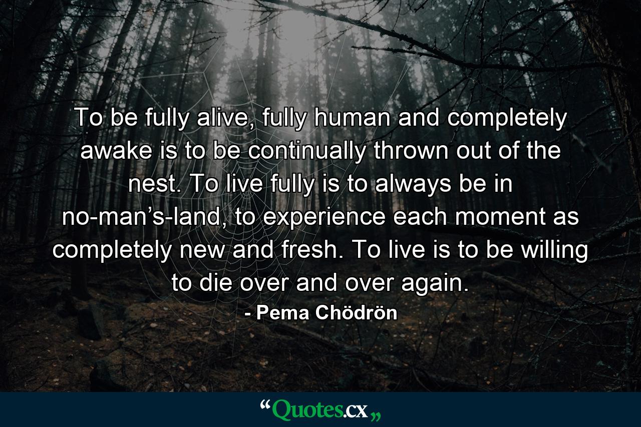 To be fully alive, fully human and completely awake is to be continually thrown out of the nest. To live fully is to always be in no-man’s-land, to experience each moment as completely new and fresh. To live is to be willing to die over and over again. - Quote by Pema Chödrön