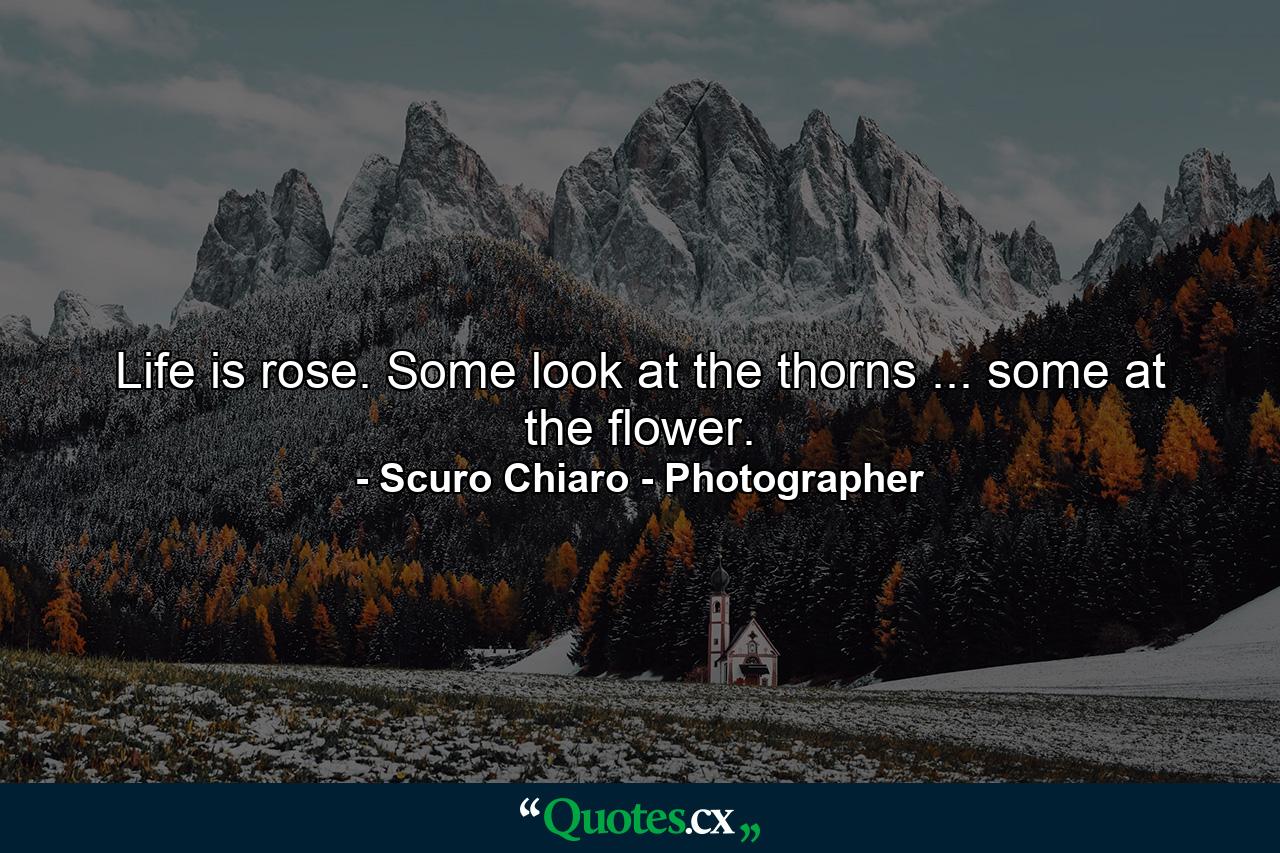 Life is rose. Some look at the thorns ... some at the flower. - Quote by Scuro Chiaro - Photographer