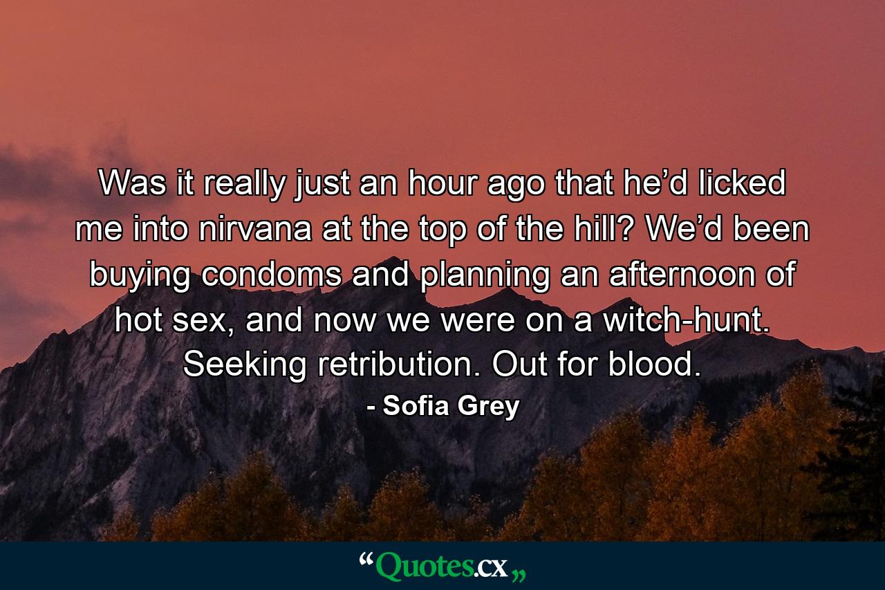 Was it really just an hour ago that he’d licked me into nirvana at the top of the hill? We’d been buying condoms and planning an afternoon of hot sex, and now we were on a witch-hunt. Seeking retribution. Out for blood. - Quote by Sofia Grey