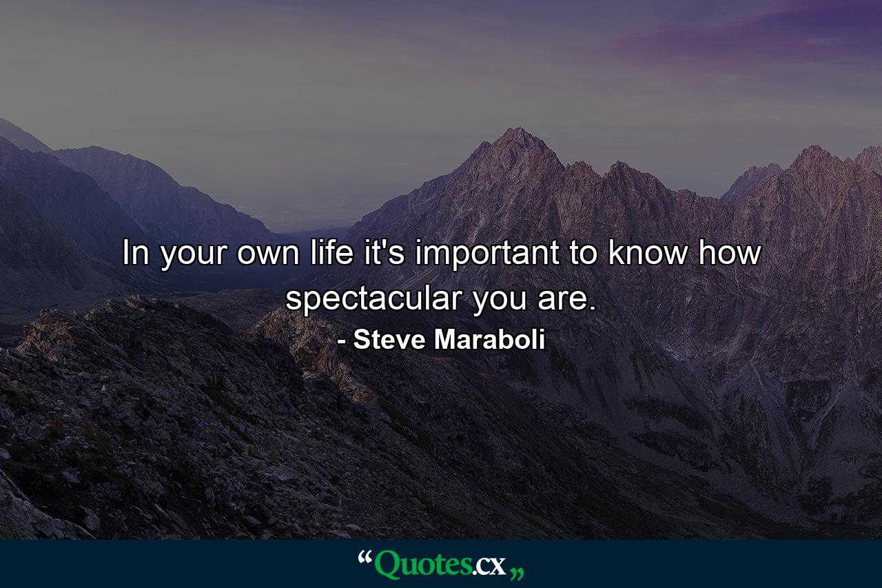 In your own life it's important to know how spectacular you are. - Quote by Steve Maraboli