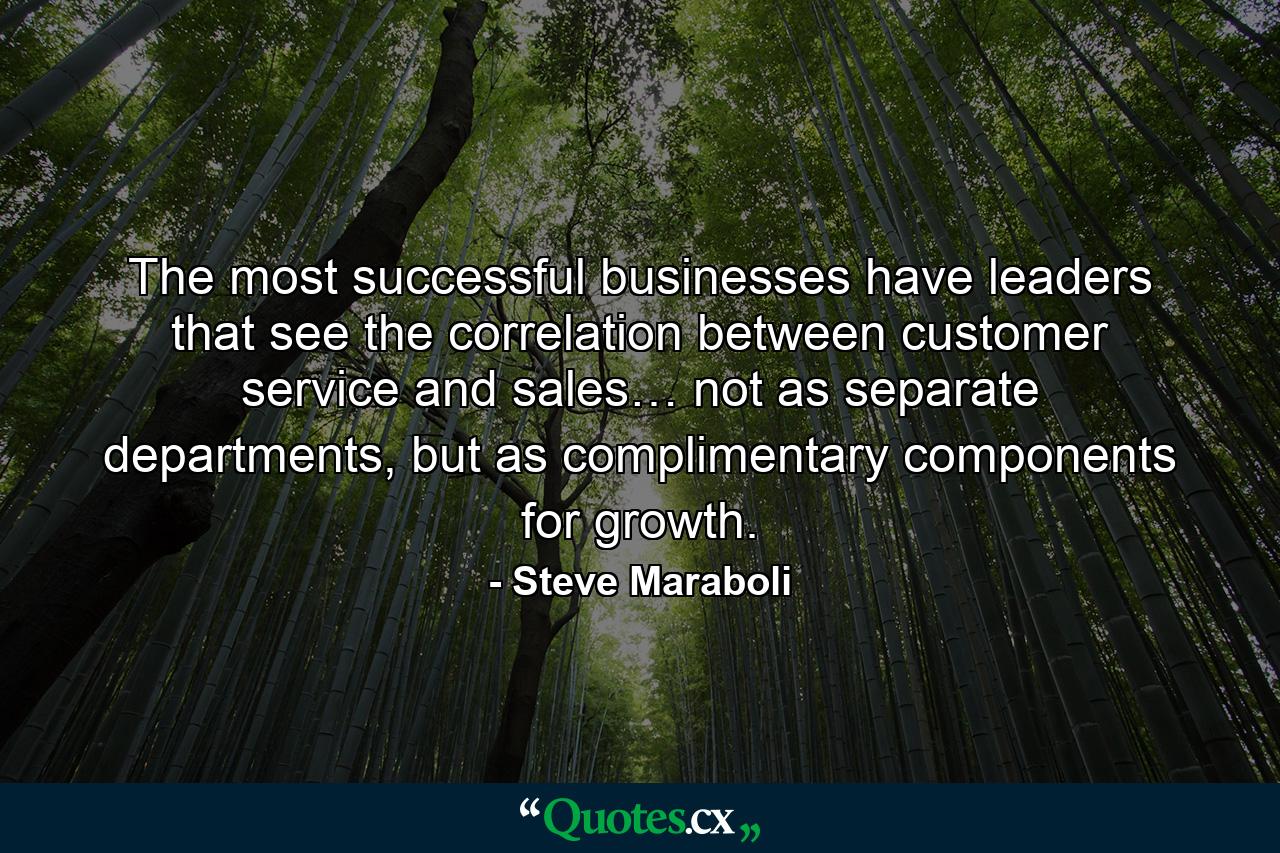 The most successful businesses have leaders that see the correlation between customer service and sales… not as separate departments, but as complimentary components for growth. - Quote by Steve Maraboli