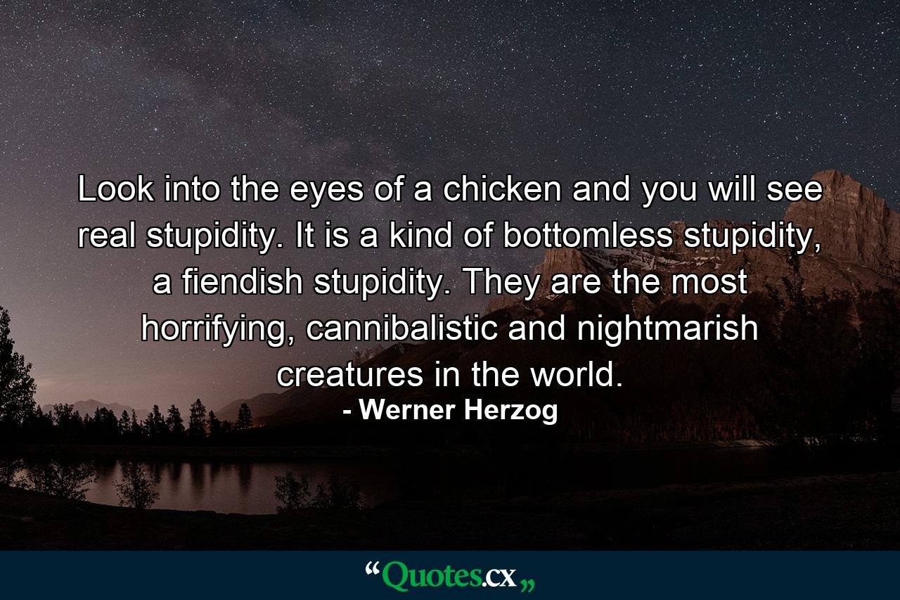 Look into the eyes of a chicken and you will see real stupidity. It is a kind of bottomless stupidity, a fiendish stupidity. They are the most horrifying, cannibalistic and nightmarish creatures in the world. - Quote by Werner Herzog