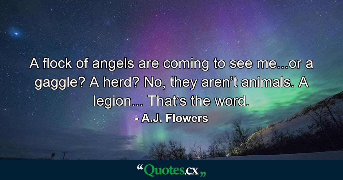 A flock of angels are coming to see me...or a gaggle? A herd? No, they aren’t animals. A legion... That’s the word. - Quote by A.J. Flowers