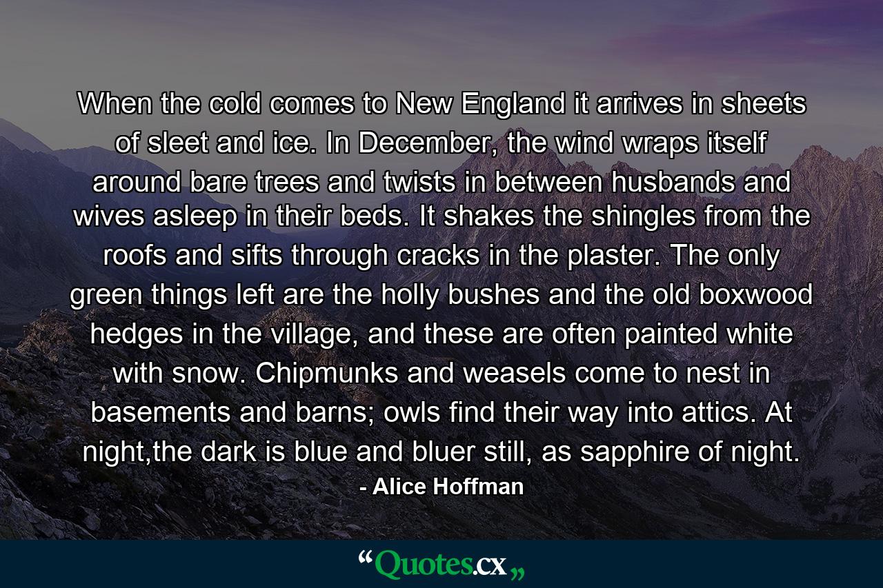 When the cold comes to New England it arrives in sheets of sleet and ice. In December, the wind wraps itself around bare trees and twists in between husbands and wives asleep in their beds. It shakes the shingles from the roofs and sifts through cracks in the plaster. The only green things left are the holly bushes and the old boxwood hedges in the village, and these are often painted white with snow. Chipmunks and weasels come to nest in basements and barns; owls find their way into attics. At night,the dark is blue and bluer still, as sapphire of night. - Quote by Alice Hoffman