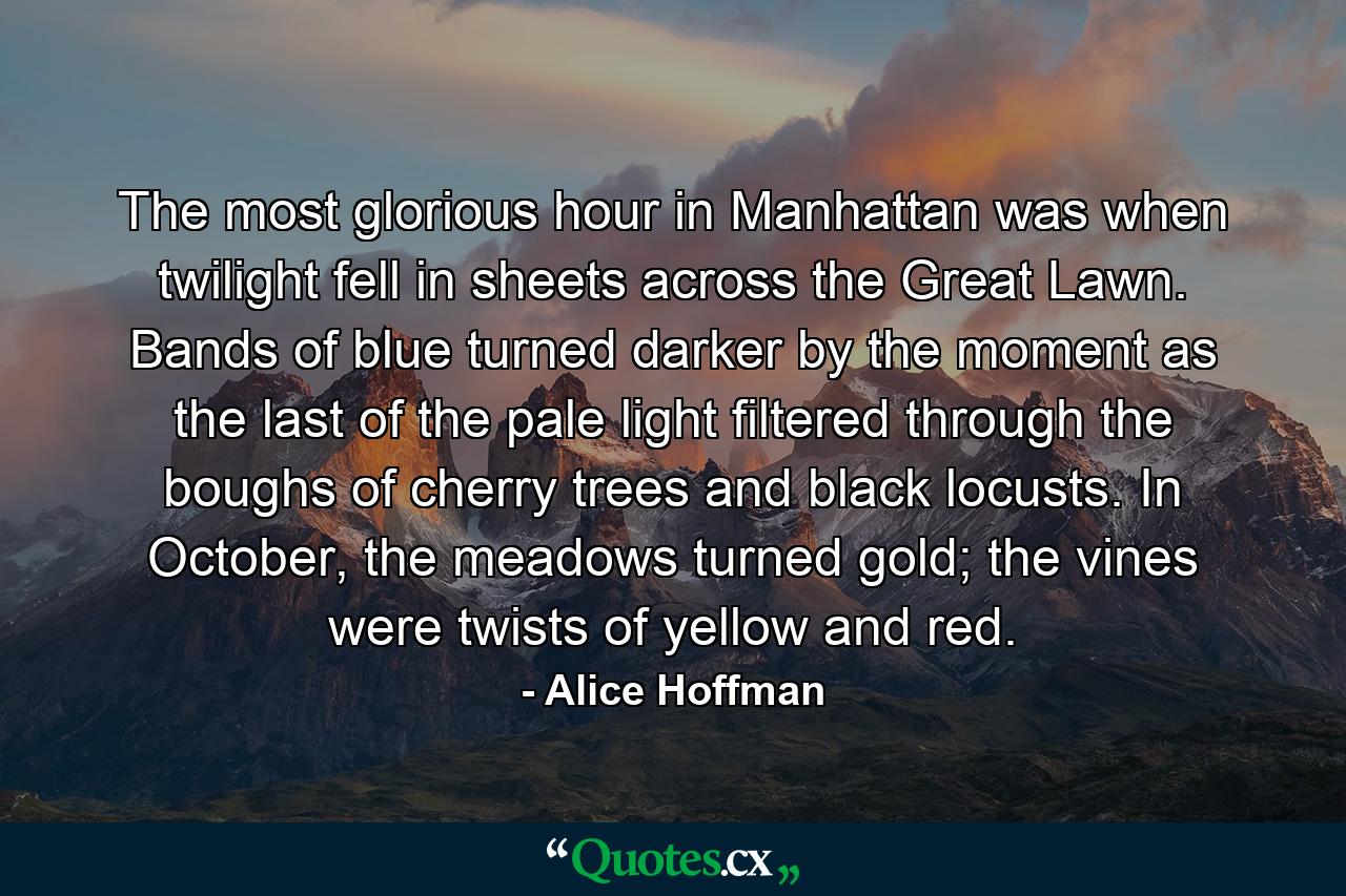 The most glorious hour in Manhattan was when twilight fell in sheets across the Great Lawn. Bands of blue turned darker by the moment as the last of the pale light filtered through the boughs of cherry trees and black locusts. In October, the meadows turned gold; the vines were twists of yellow and red. - Quote by Alice Hoffman