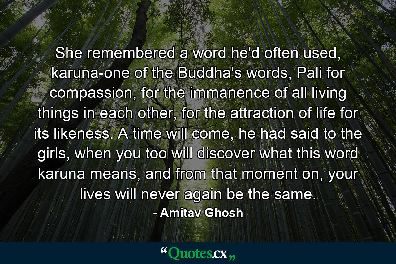 She remembered a word he'd often used, karuna-one of the Buddha's words, Pali for compassion, for the immanence of all living things in each other, for the attraction of life for its likeness. A time will come, he had said to the girls, when you too will discover what this word karuna means, and from that moment on, your lives will never again be the same. - Quote by Amitav Ghosh