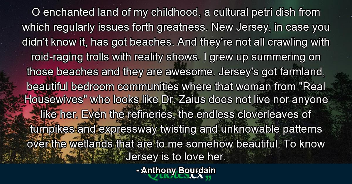 O enchanted land of my childhood, a cultural petri dish from which regularly issues forth greatness. New Jersey, in case you didn't know it, has got beaches. And they're not all crawling with roid-raging trolls with reality shows. I grew up summering on those beaches and they are awesome. Jersey's got farmland, beautiful bedroom communities where that woman from 