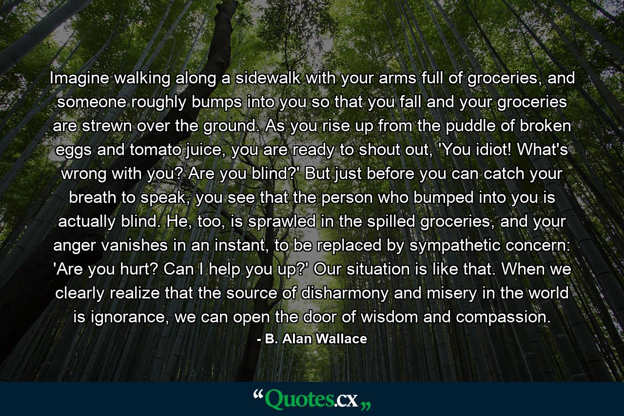 Imagine walking along a sidewalk with your arms full of groceries, and someone roughly bumps into you so that you fall and your groceries are strewn over the ground. As you rise up from the puddle of broken eggs and tomato juice, you are ready to shout out, 'You idiot! What's wrong with you? Are you blind?' But just before you can catch your breath to speak, you see that the person who bumped into you is actually blind. He, too, is sprawled in the spilled groceries, and your anger vanishes in an instant, to be replaced by sympathetic concern: 'Are you hurt? Can I help you up?' Our situation is like that. When we clearly realize that the source of disharmony and misery in the world is ignorance, we can open the door of wisdom and compassion. - Quote by B. Alan Wallace