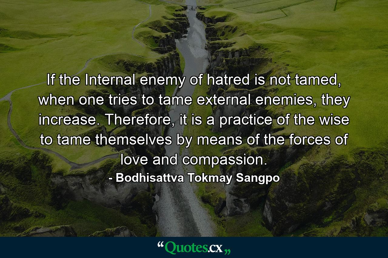 If the Internal enemy of hatred is not tamed, when one tries to tame external enemies, they increase. Therefore, it is a practice of the wise to tame themselves by means of the forces of love and compassion. - Quote by Bodhisattva Tokmay Sangpo