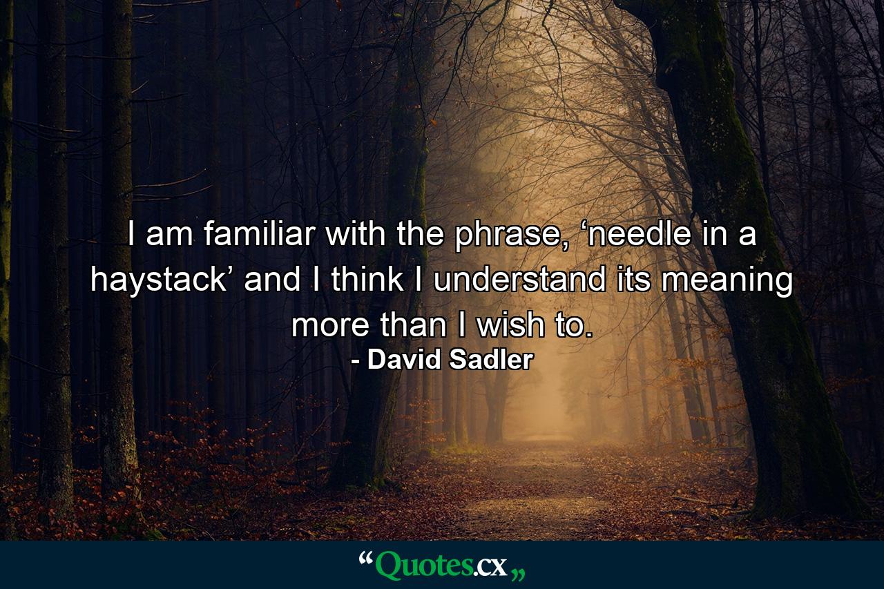 I am familiar with the phrase, ‘needle in a haystack’ and I think I understand its meaning more than I wish to. - Quote by David Sadler