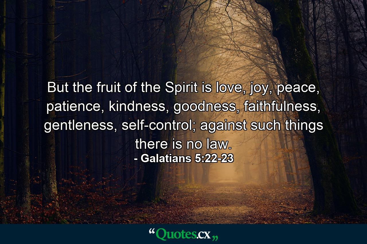 But the fruit of the Spirit is love, joy, peace, patience, kindness, goodness, faithfulness, gentleness, self-control; against such things there is no law. - Quote by Galatians 5:22-23