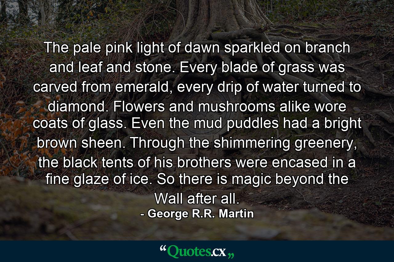 The pale pink light of dawn sparkled on branch and leaf and stone. Every blade of grass was carved from emerald, every drip of water turned to diamond. Flowers and mushrooms alike wore coats of glass. Even the mud puddles had a bright brown sheen. Through the shimmering greenery, the black tents of his brothers were encased in a fine glaze of ice. So there is magic beyond the Wall after all. - Quote by George R.R. Martin