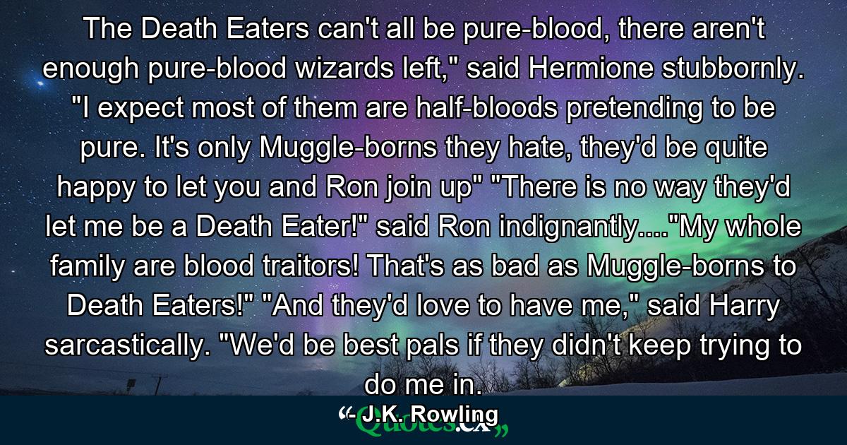 The Death Eaters can't all be pure-blood, there aren't enough pure-blood wizards left,