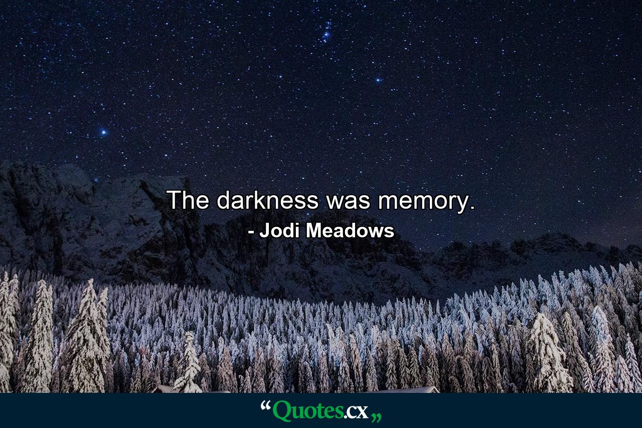 The darkness was memory. - Quote by Jodi Meadows