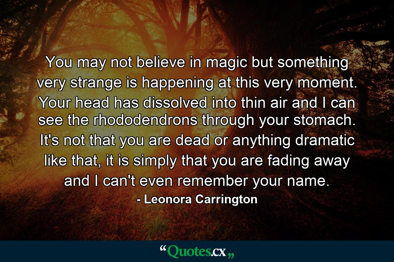 You may not believe in magic but something very strange is happening at this very moment. Your head has dissolved into thin air and I can see the rhododendrons through your stomach. It's not that you are dead or anything dramatic like that, it is simply that you are fading away and I can't even remember your name. - Quote by Leonora Carrington